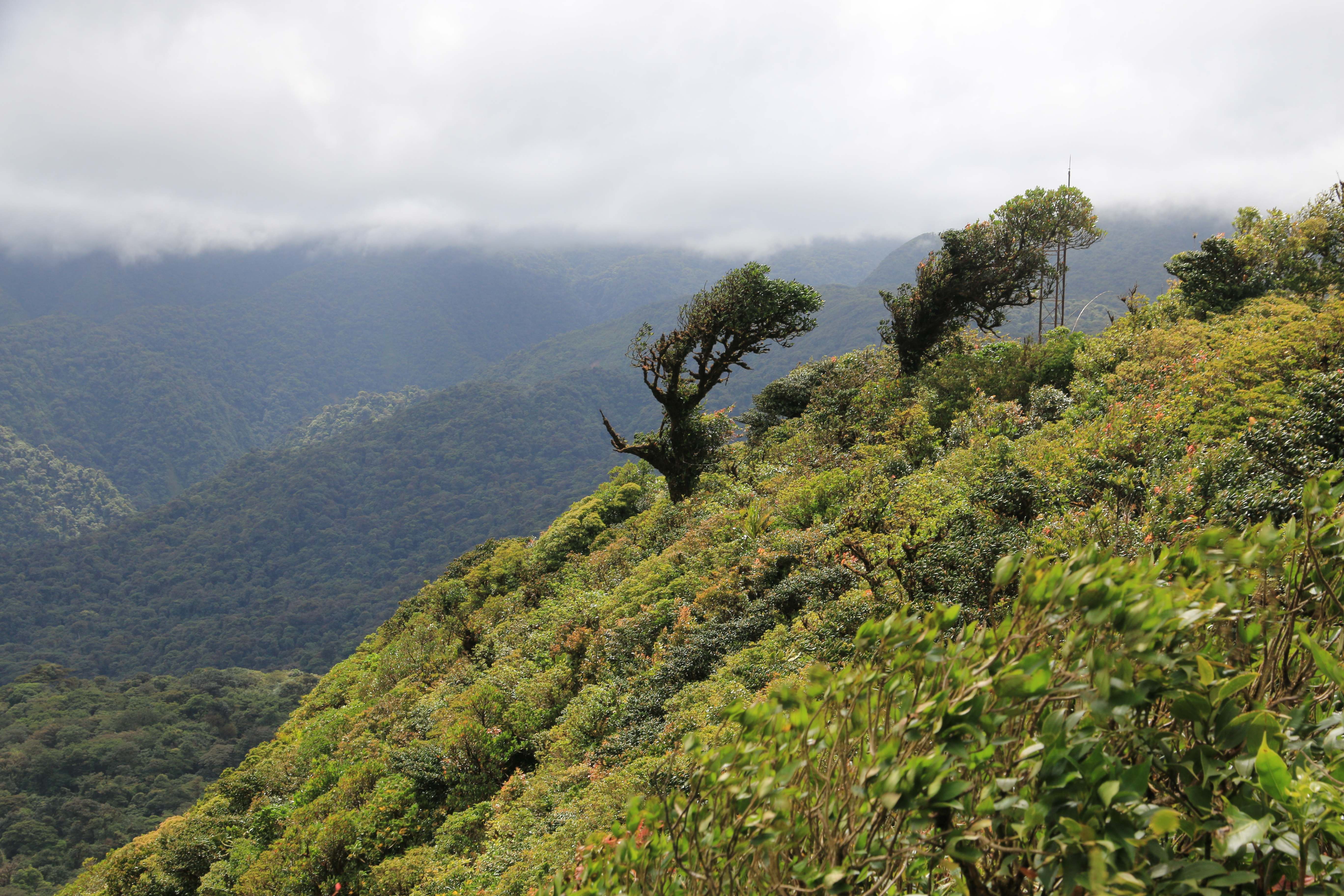 Costa Rica